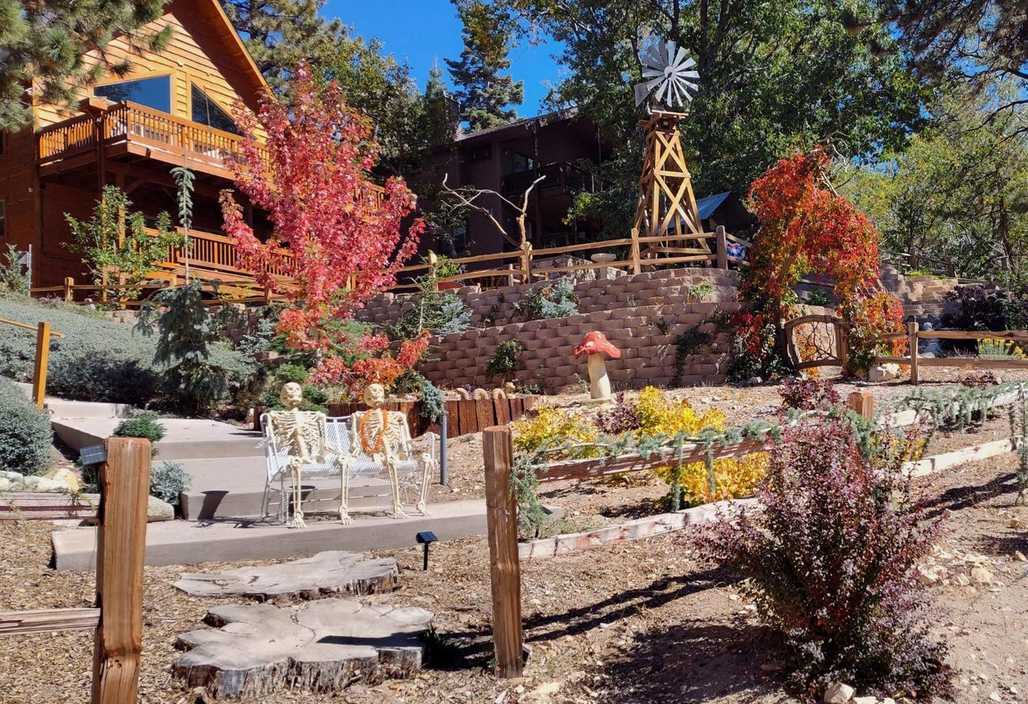 Snow Bunny Cottage, Pets Welcomed! Green Valley Lake Exterior foto