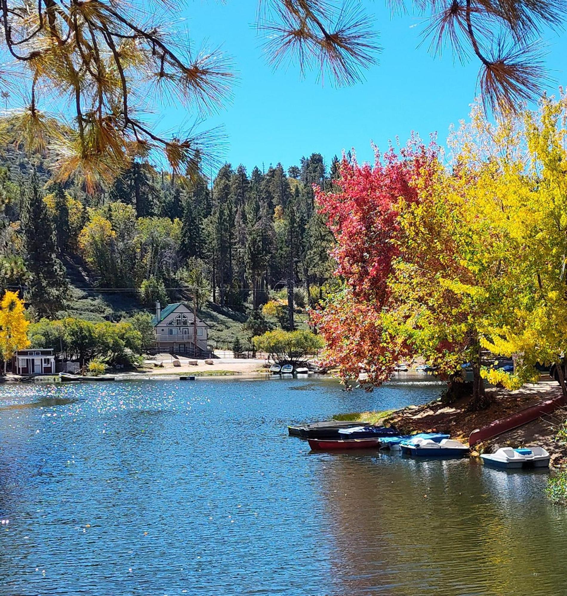 Snow Bunny Cottage, Pets Welcomed! Green Valley Lake Exterior foto