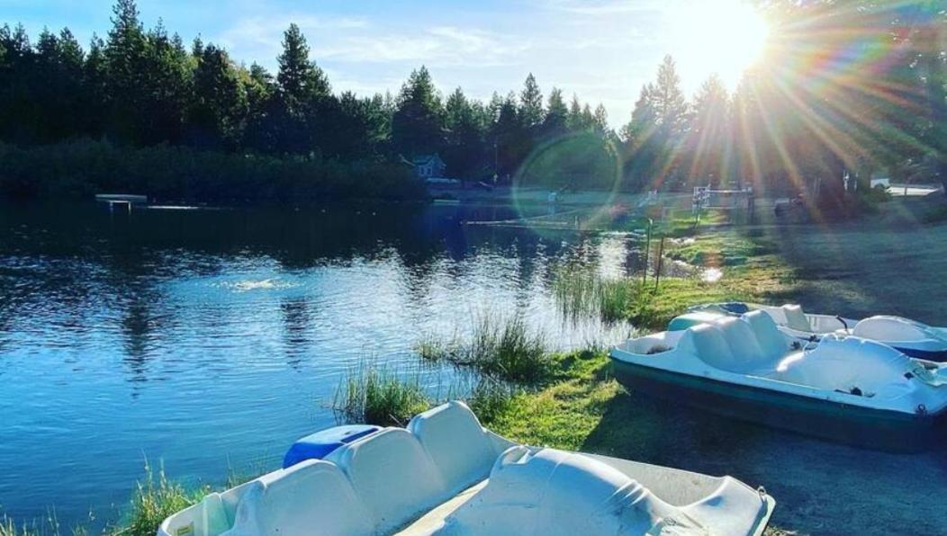 Snow Bunny Cottage, Pets Welcomed! Green Valley Lake Exterior foto