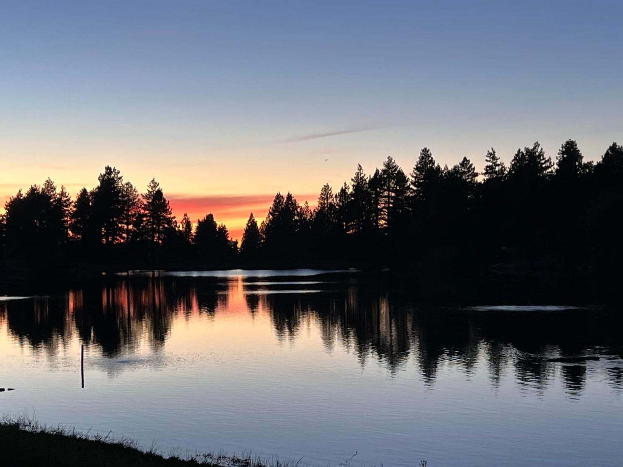 Snow Bunny Cottage, Pets Welcomed! Green Valley Lake Exterior foto