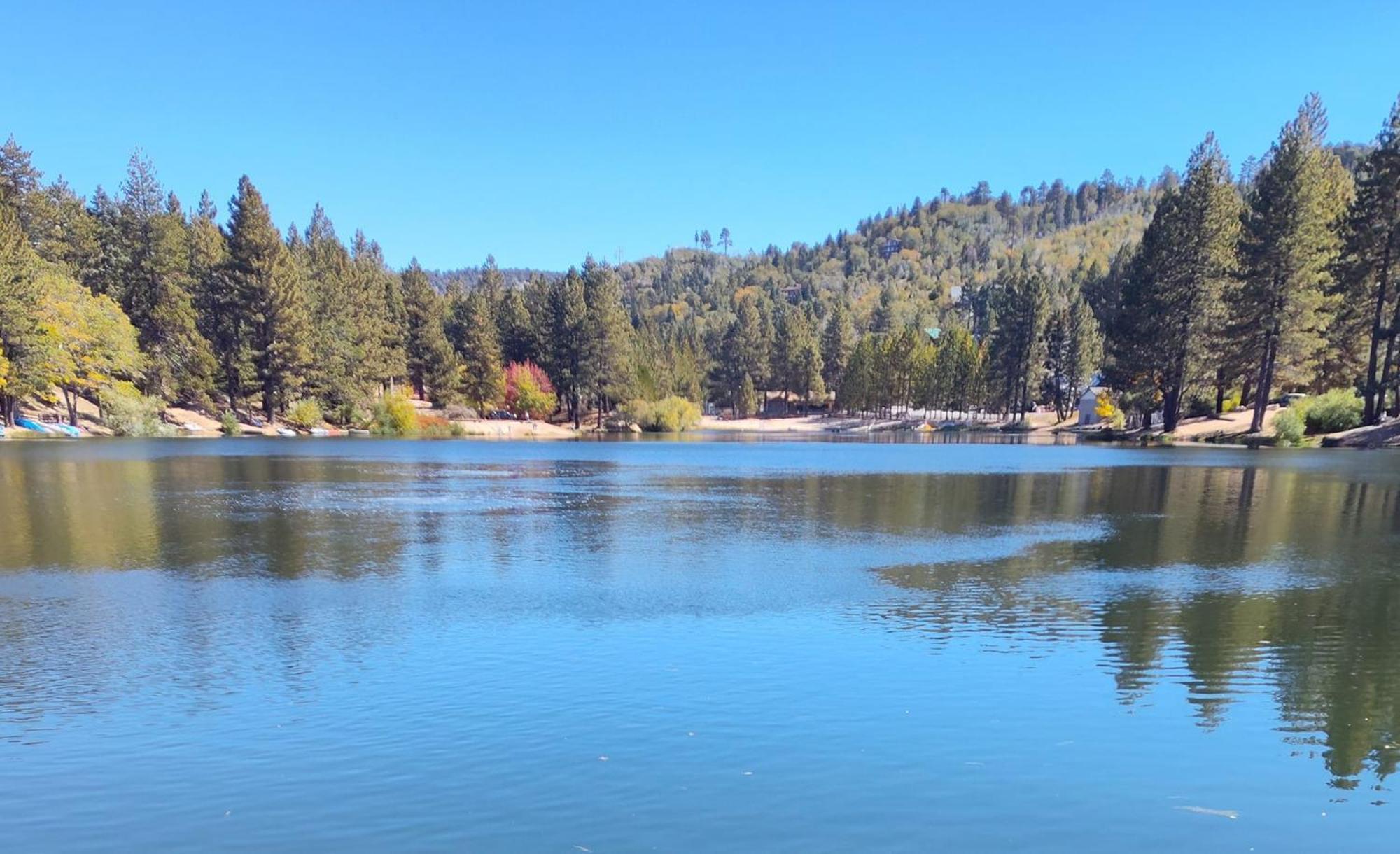 Snow Bunny Cottage, Pets Welcomed! Green Valley Lake Exterior foto
