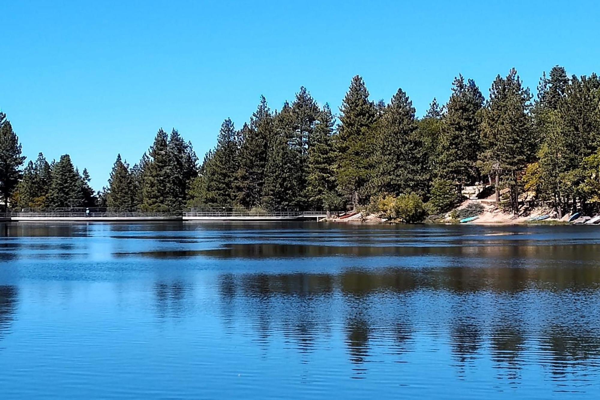 Snow Bunny Cottage, Pets Welcomed! Green Valley Lake Exterior foto