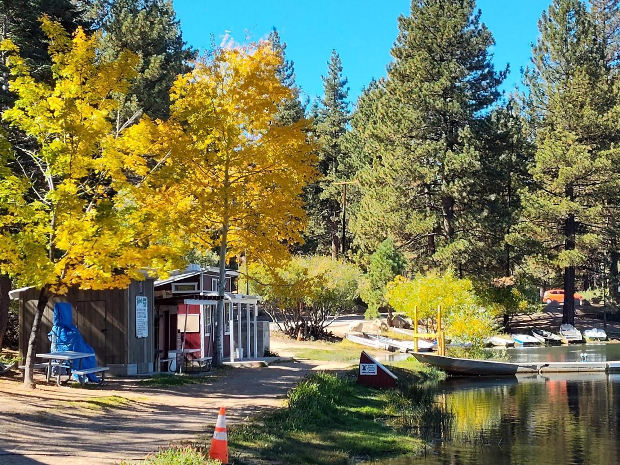 Snow Bunny Cottage, Pets Welcomed! Green Valley Lake Exterior foto